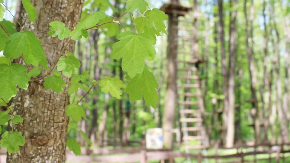 Destinatii de weekend: locuri de vizitat langa Bucuresti