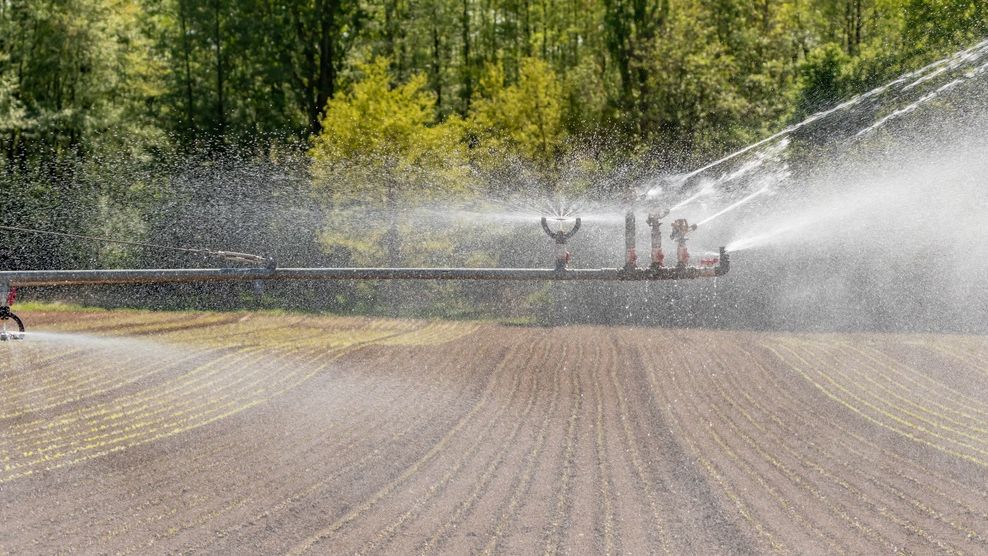 Daea spune că nu va sta ”după banii europeni” pentru a moderniza irigațiile din România