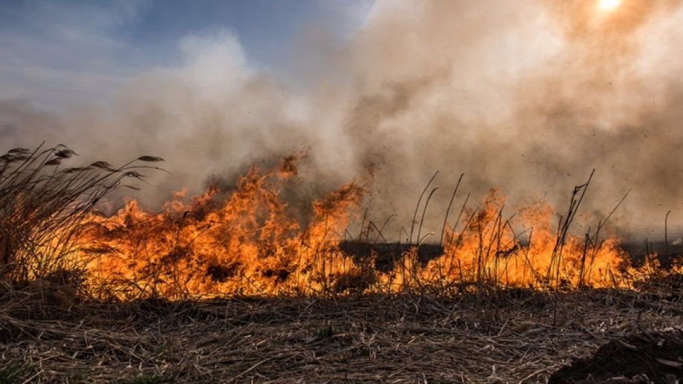 143 de incendii au avut loc în România într-o singură zi