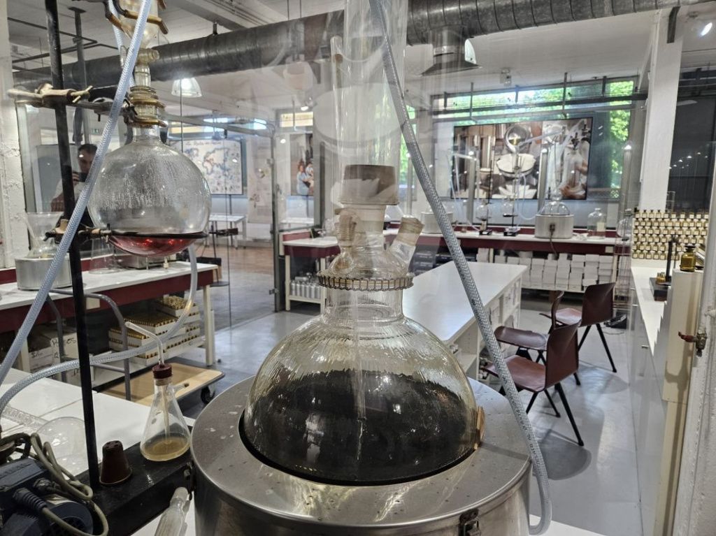 Coasta de Azur 2025 - Imagine 43