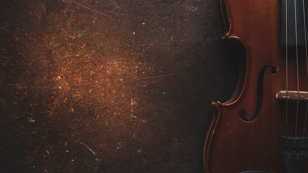 O vioară de 100.000 dolari a fost furată într-un tren și apoi găsită lângă un tomberon din Paris