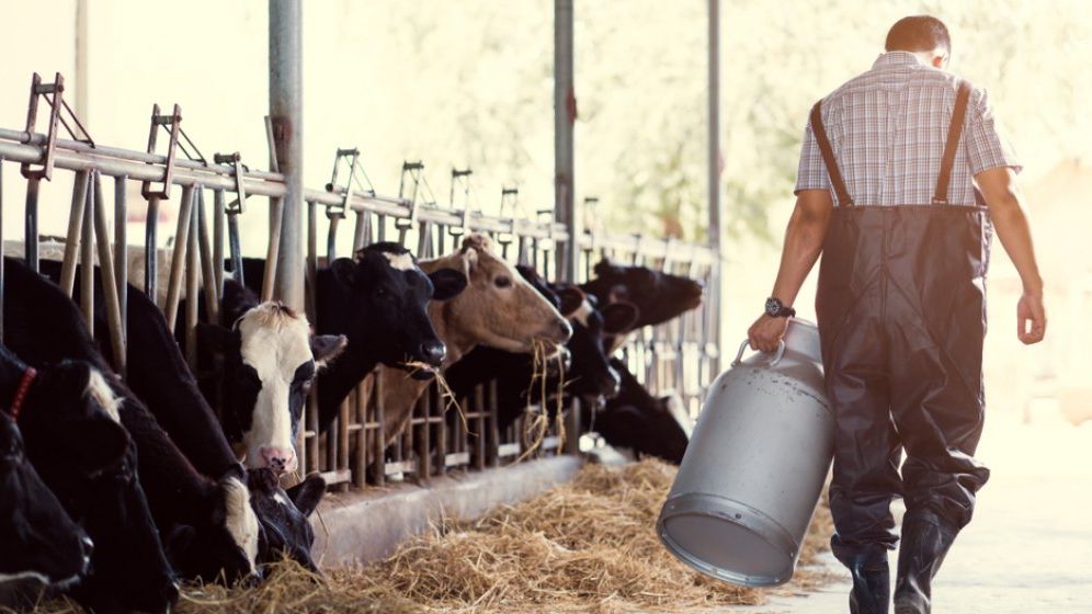 Patria Credit obtine un nou imprumut de la EFSE pentru a finanta fermierii si antreprenorii din mediul rural