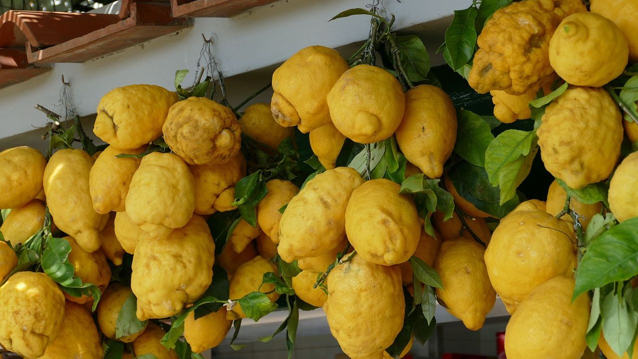 Vacanțele care te învață să fii italian: de la cultivarea lămâilor, până la făcut pizza