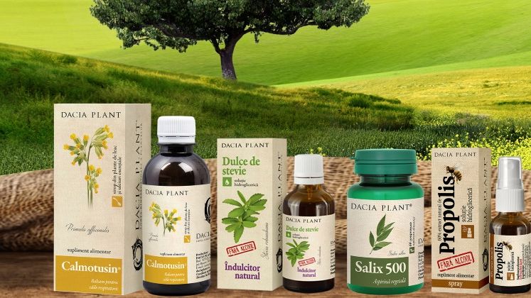 Dacia Plant pregateste investitii in extindere si marketing si vrea sa treaca pragul de afaceri de 30 mil. lei