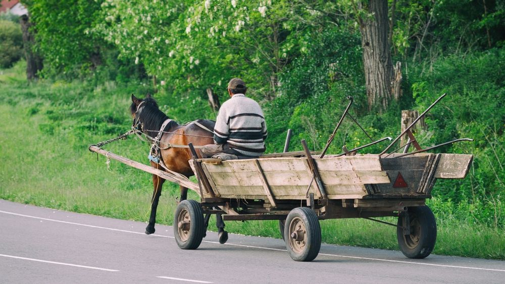 INFOGRAFICE INTERACTIVE | Drumurile naționale în 2022. Care au fost cele mai circulate și ce vehicule au mers pe ele