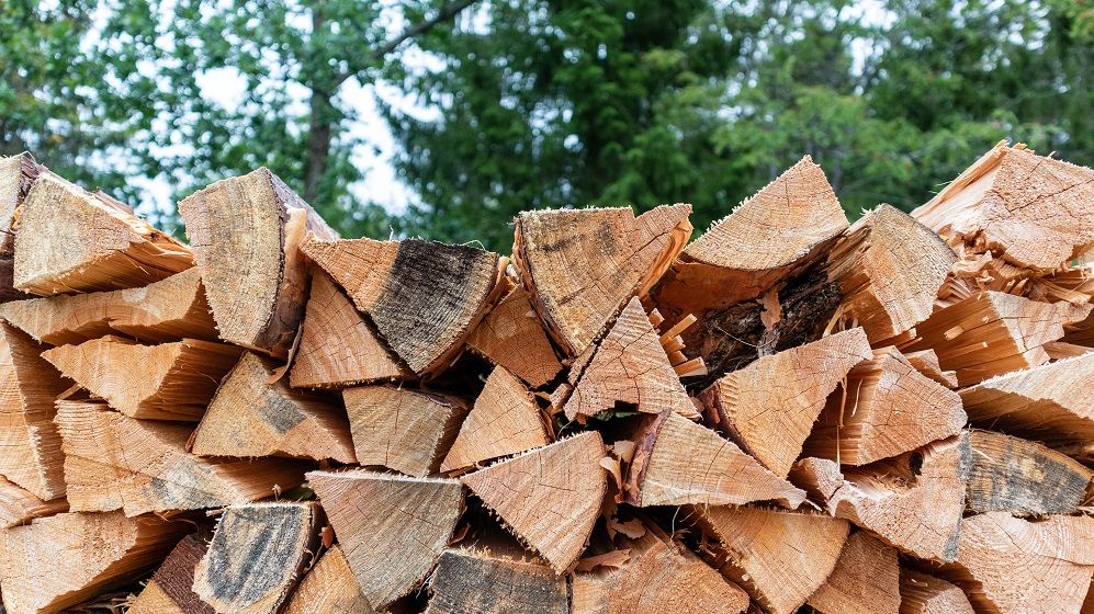 AUR vrea un preț plafonat la lemnele de foc. Măsurile s-ar prelungi până în 2028