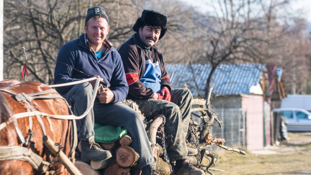 În acest județ peste 1.500 de asistați sociali au rămas fără bani fiindcă nu au vrut să se angajeze
