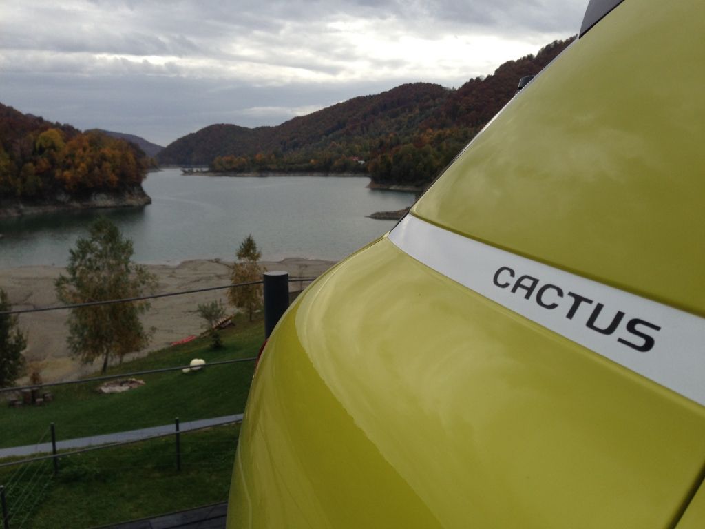 Citroen C4 Cactus - Imagine 5