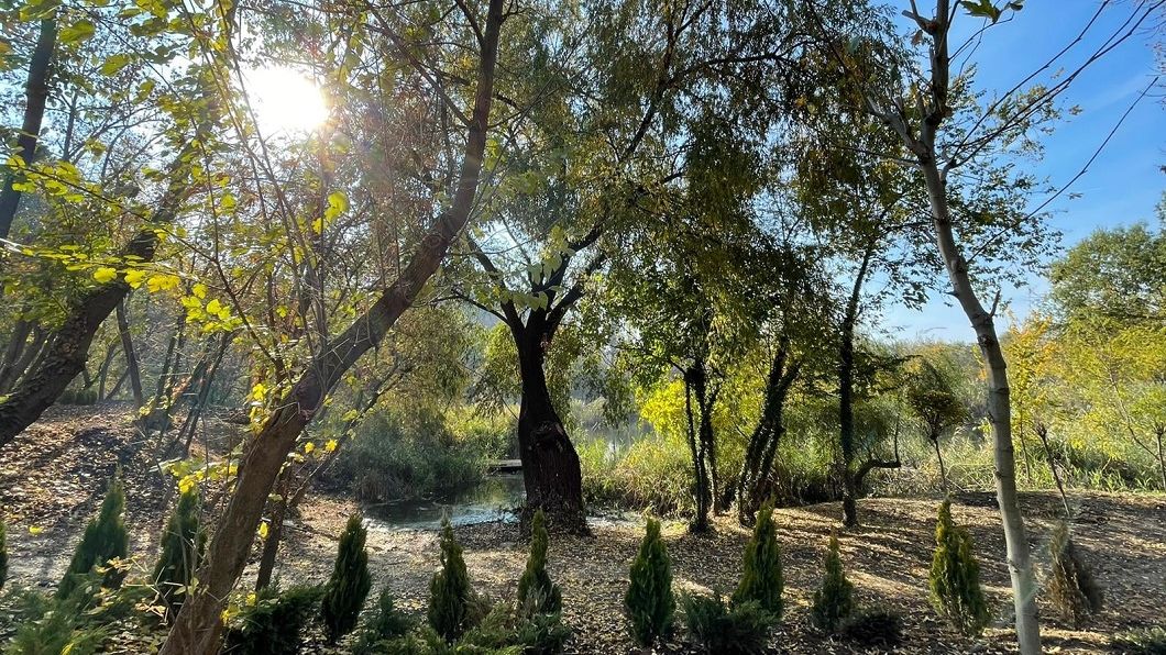 IMAGINI | Parcul Sticlăriei, „a doua Deltă a Bucureștiului”, s-a redeschis după 30 de ani