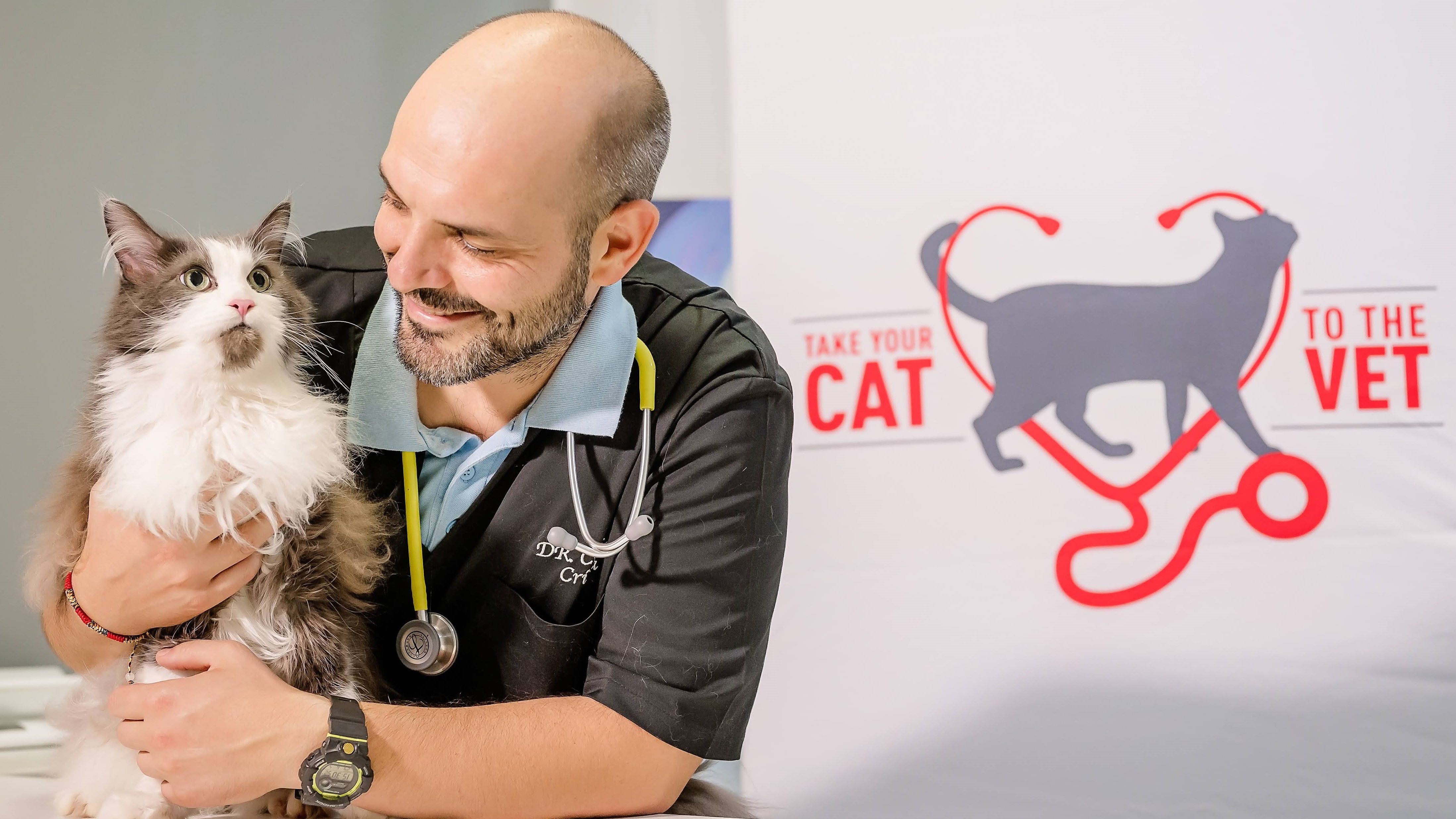 Cum știi că pisica ta este sănătoasă? Semnele ascunse pe care doar medicul veterinar le poate observa