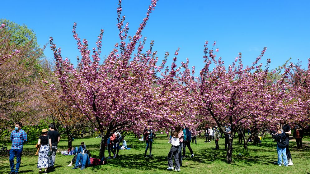 Parcul Liniei din Sector 6, investiție de 27 de milioane de lei. Cât va dura amenajarea acestuia