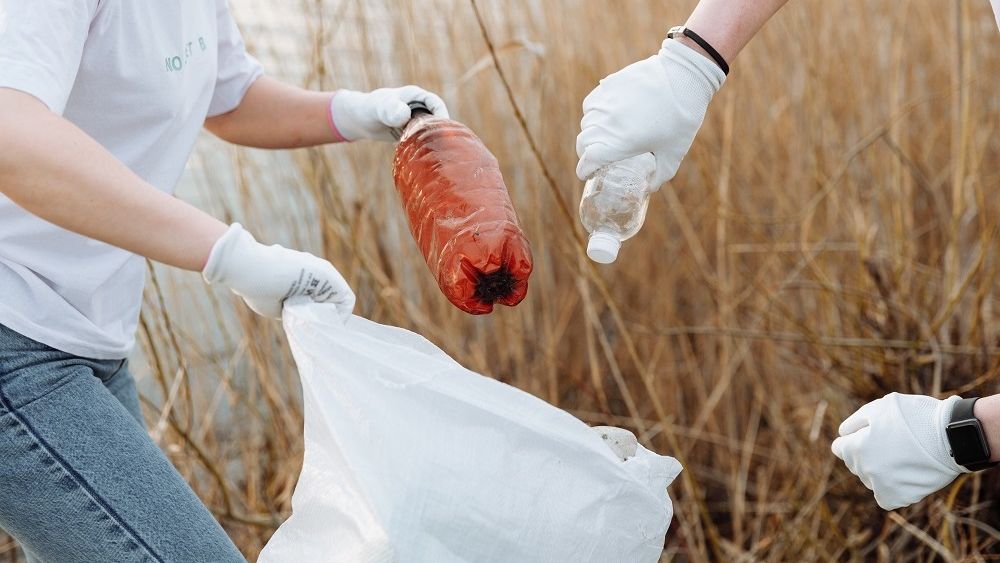 Cum poți recicla PET-uri și primi cash, vouchere sau carduri de fidelitate la magazinele alimentare