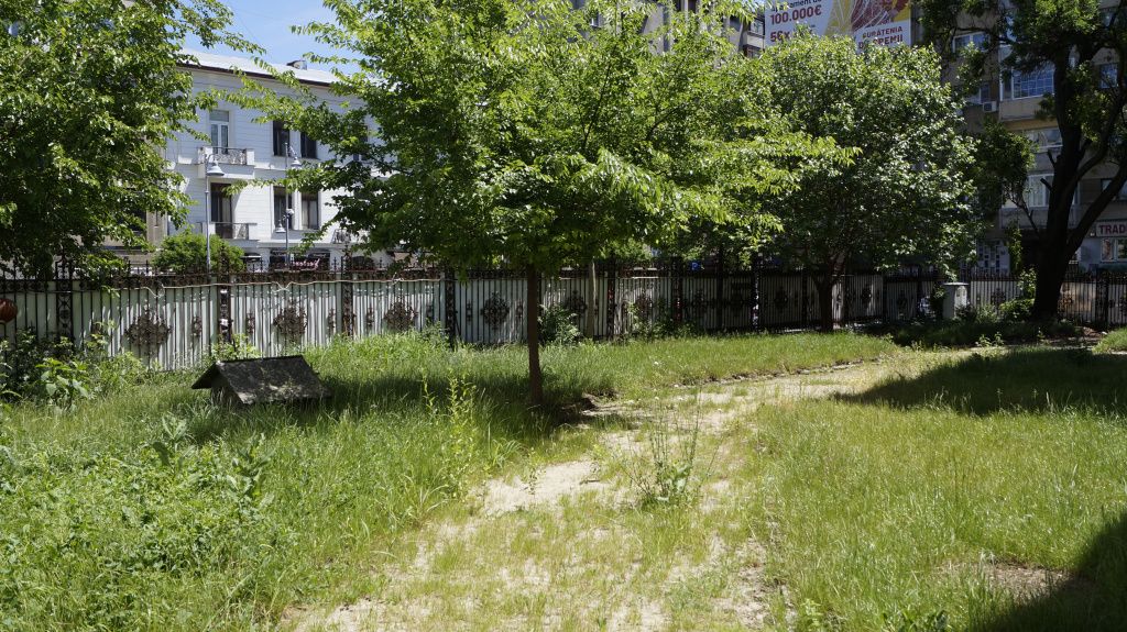 Palatul Știrbei din Calea Victoriei - Imagine 39