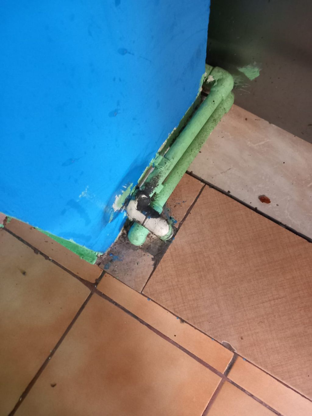 FOTO | Raid ANPC în Apaca: amenzi, restaurante închise și gândaci surprinși la masă - Imagine 4