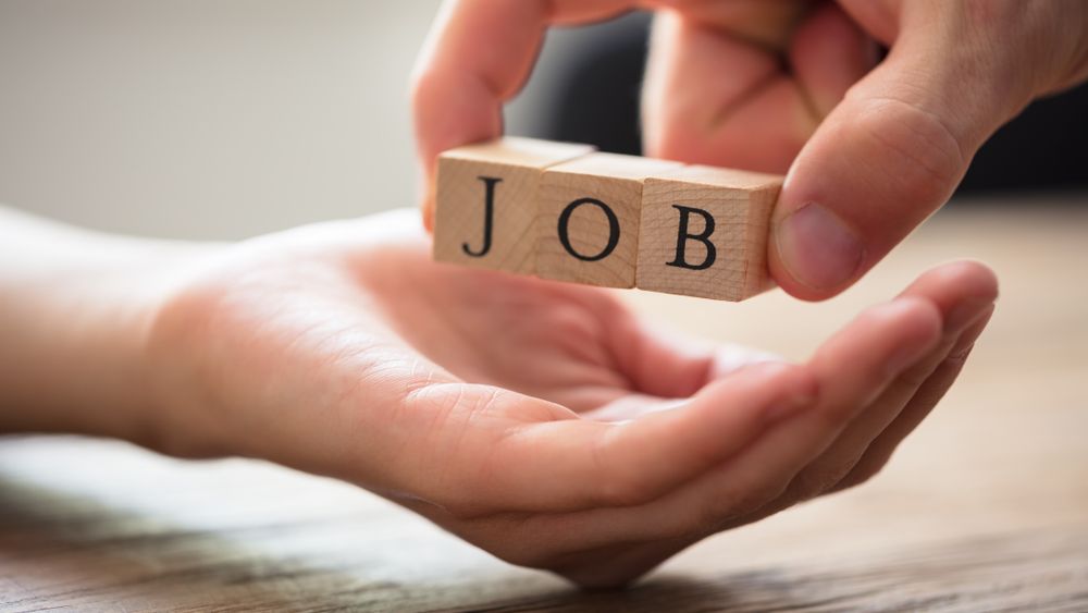 Joburi pe final de vara: poti alege din 28.000 de locuri de munca vacante