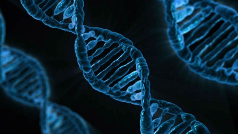 OMS: Coronavirus, urgenta de sanatate de interes international