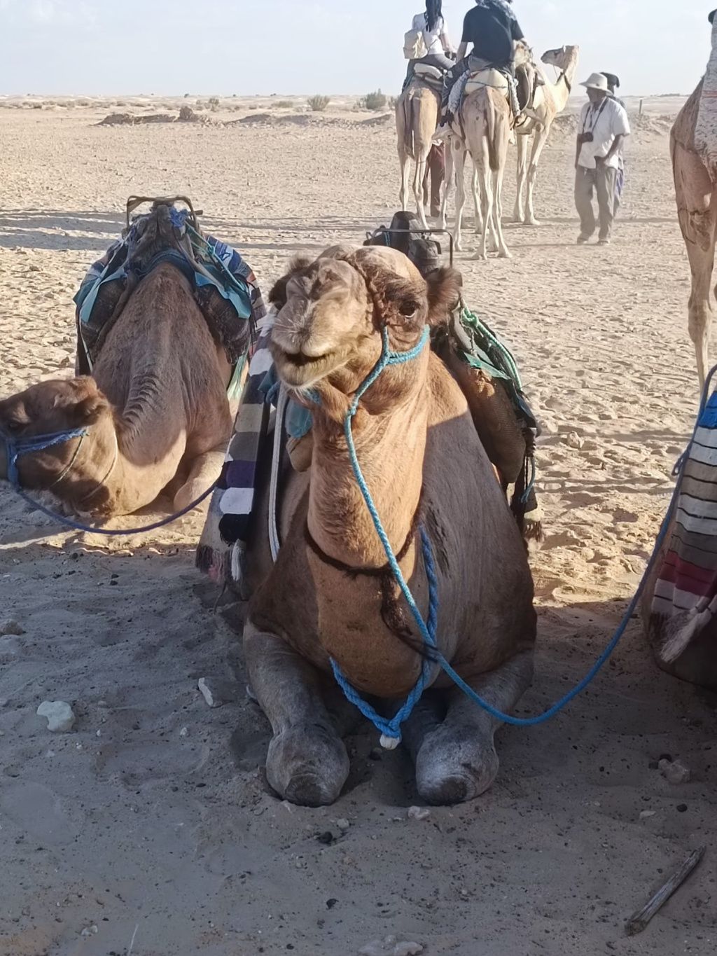 GALERIE FOTO: Vacanță în Tunisia, cu aventuri în deșert și oaze naturale, dar și cu stațiuni - Imagine 22