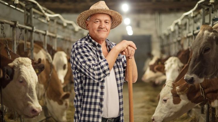 Creditarea in mediul rural: cu ce produse ajunge o banca la clientii de la sate si ce provocari intampina