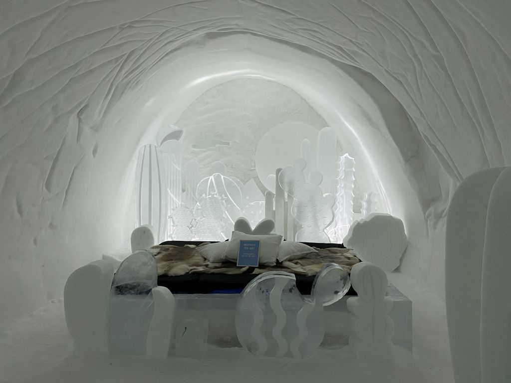 Camera Dream With a Thorn creată de Monica Popescu și colega ei Emmylou Varon. sursa foto: ICEHOTEL
