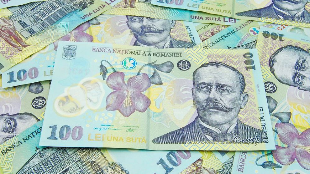 PNL sesizeaza CE si BCE privind interventia politicului in politica monetara din Romania