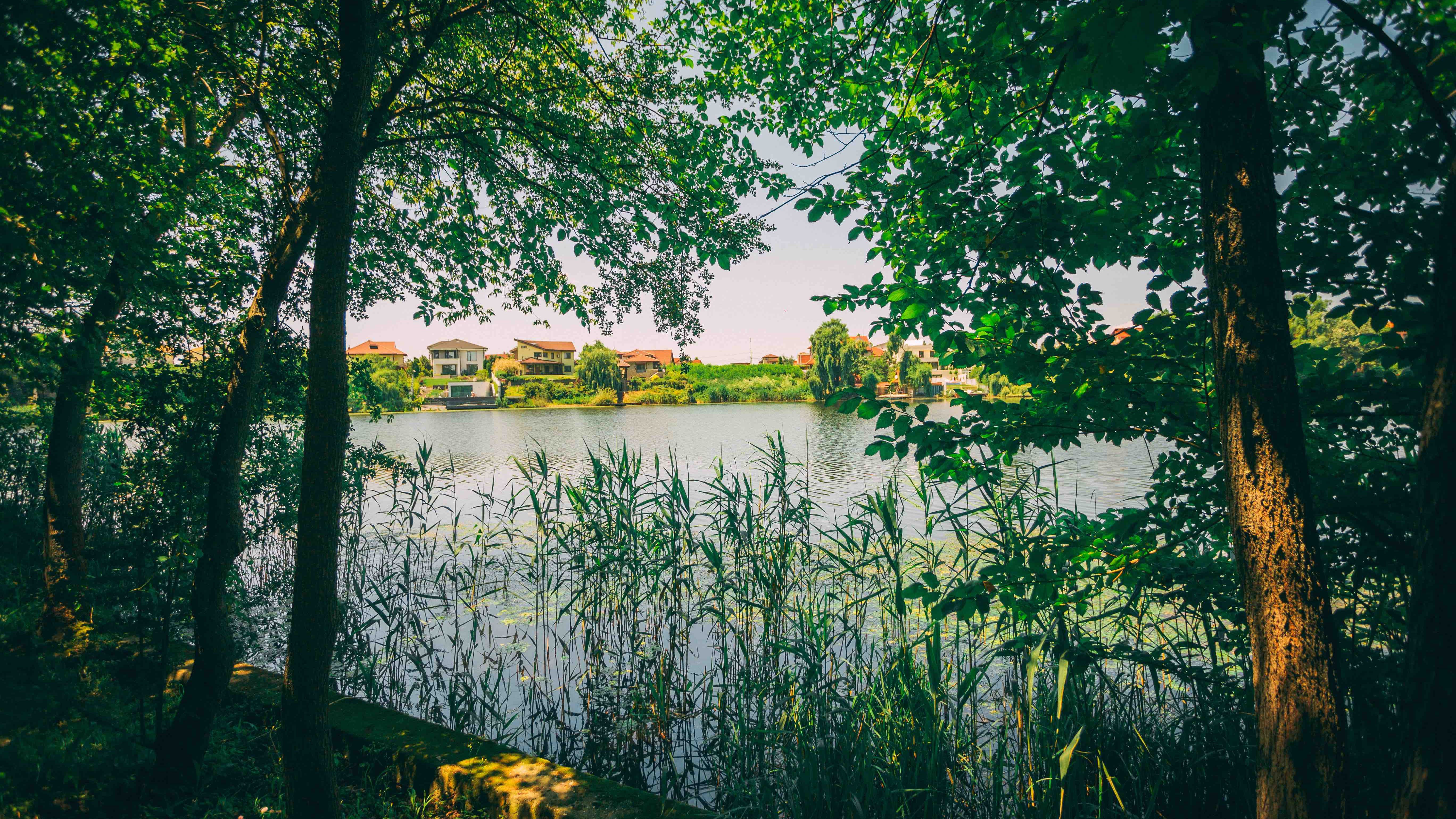 Incepe Marele Picnic Cinematografic de la Domeniul Mogosoaia: ce filme poti vedea la ShortsUP