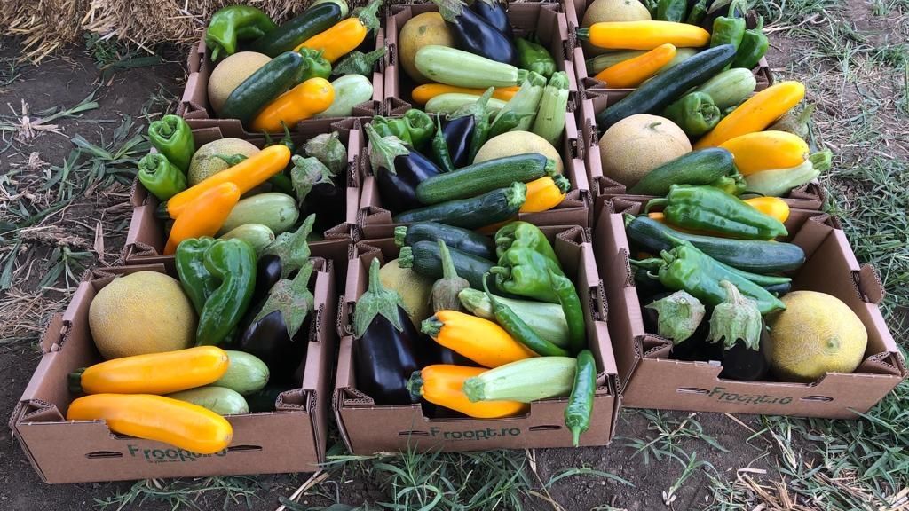 Legume și fructe bio, comandate online: Froopt.ro pregătește abonamente și crește pe zona comenzilor plasate de companii