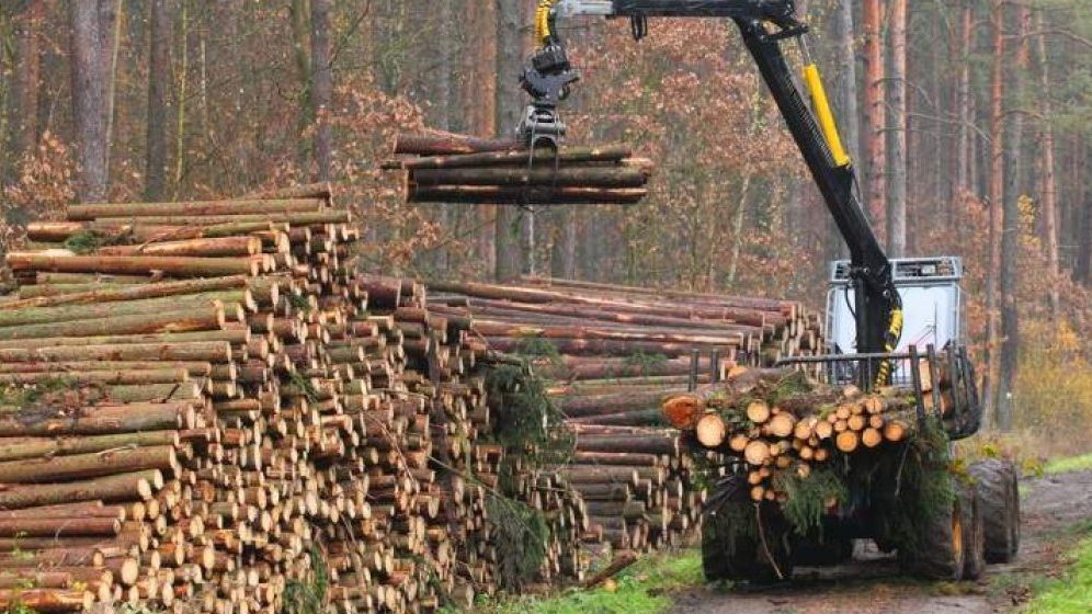 Perchezitii DIICOT la un mare exportator de lemn: Holzindustrie Schweighofer