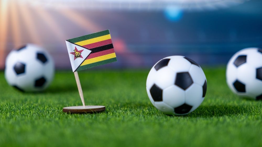 Inedit: Cine este antrenorul român care preia selecționata unei țări africane