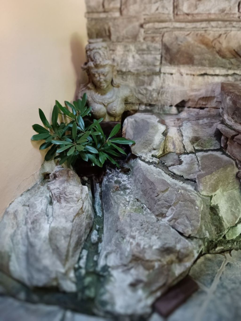 Cum arată Fallingwater, cea mai frumoasă casă din America, construită pe o cascadă - Imagine 31