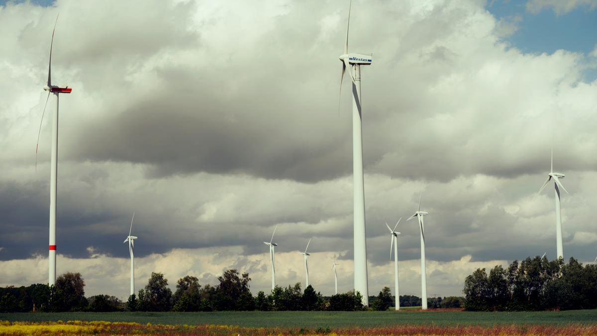 Eurowind Energy va construi trei parcuri eoliene noi. Când va fi gata investiția de zeci de milioane de euro