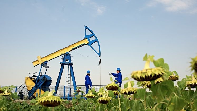 Rezultate financiare OMV Petrom: gigantul energetic raporteaza la 9 luni un profit net in scadere cu 11%