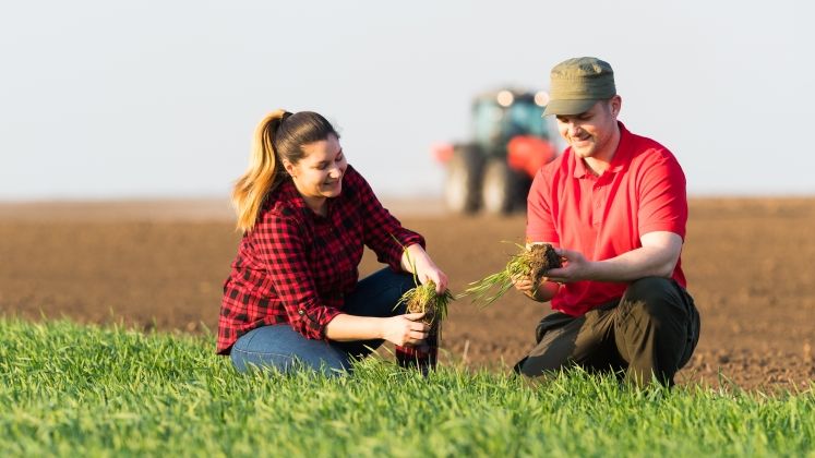 Gothaer lanseaza o polita de asigurare adresata agricultorilor cu terenuri de pana la 50 ha