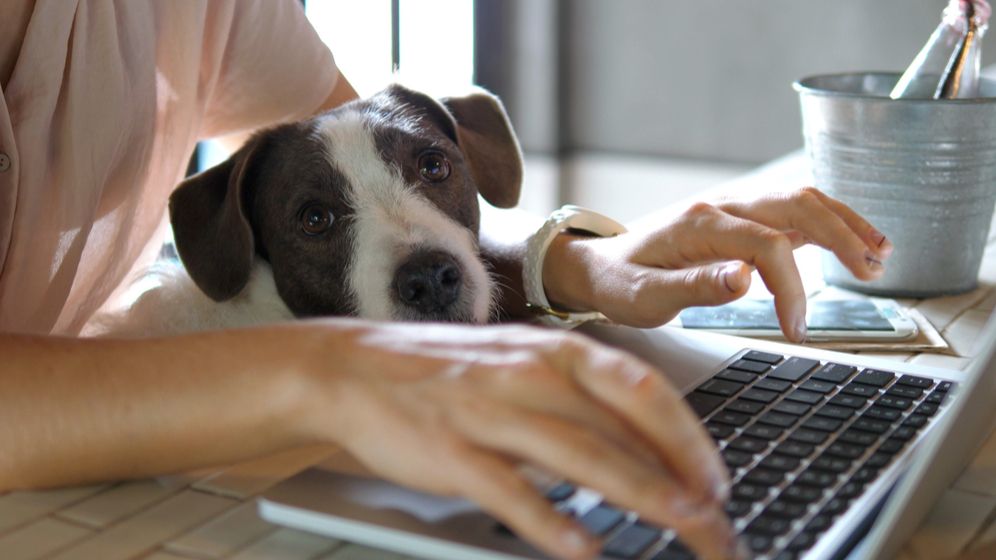 Barometru PwC: Munca în format hibrid devine „norma” pe piața muncii din România