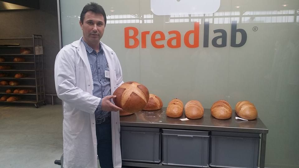 Antreprenor ardelean despre primari: Ne-am obișnuit să le rezolvăm singuri pe toate