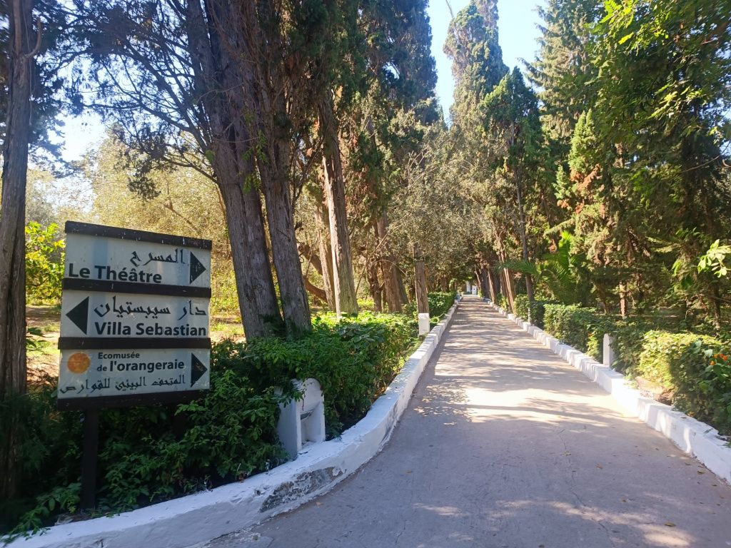 GALERIE FOTO: Vacanță în Tunisia, cu aventuri în deșert și oaze naturale, dar și cu stațiuni - Imagine 2