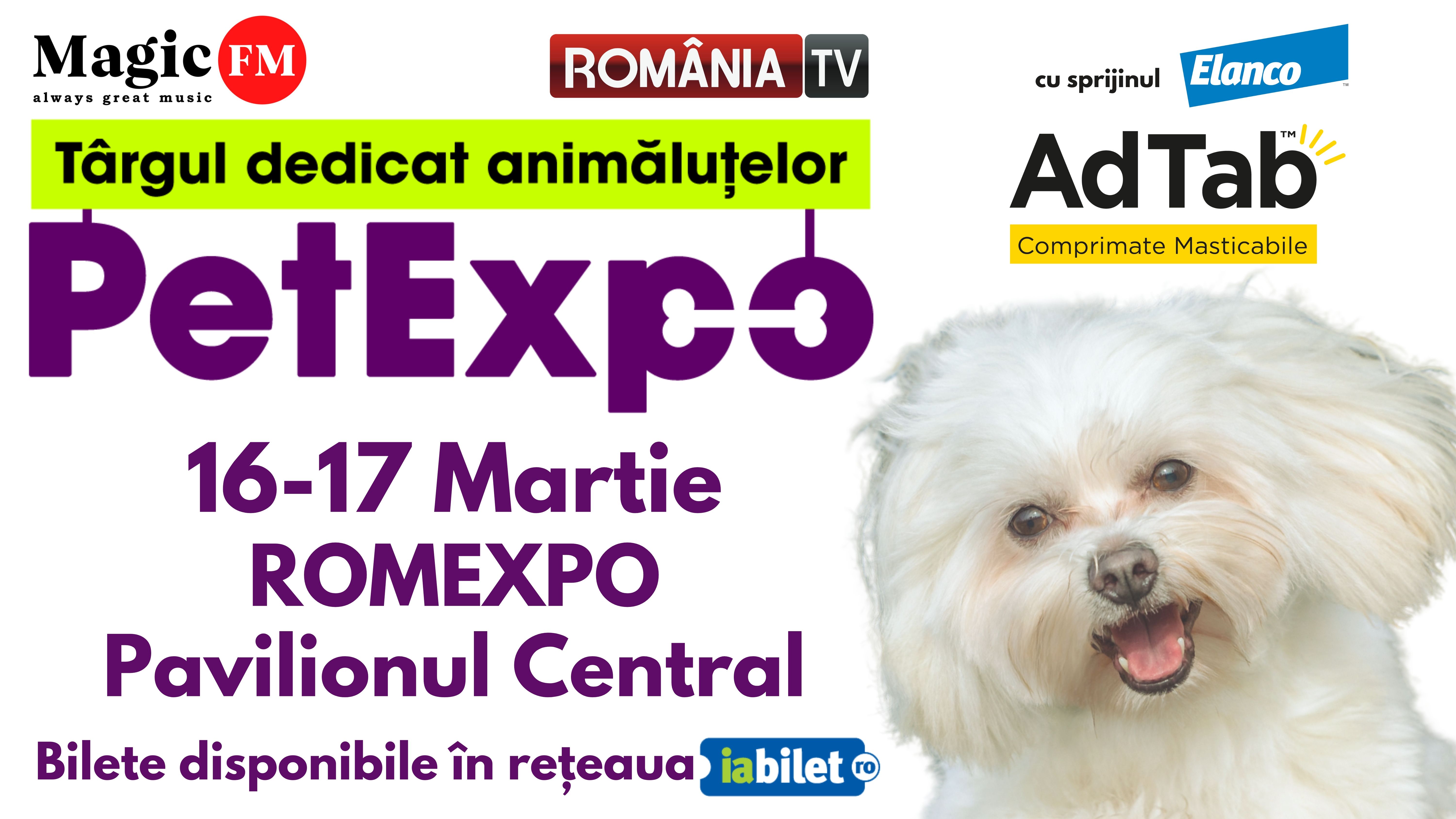 Show de modă canină, concurs de pești exotici, prezentare de rase canine românești la Pet Expo!
