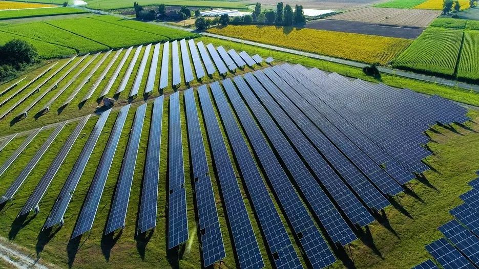 OMV Petrom și CE Oltenia, parteneriat pentru parcuri fotovoltaice de 550 MW