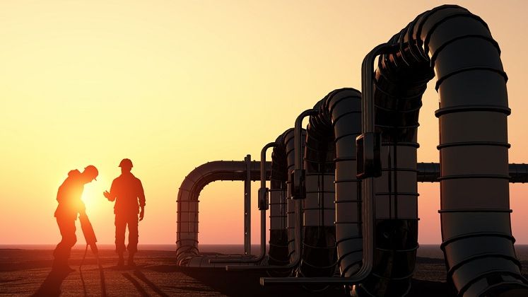 Oil Terminal, dividend cu randament 13%