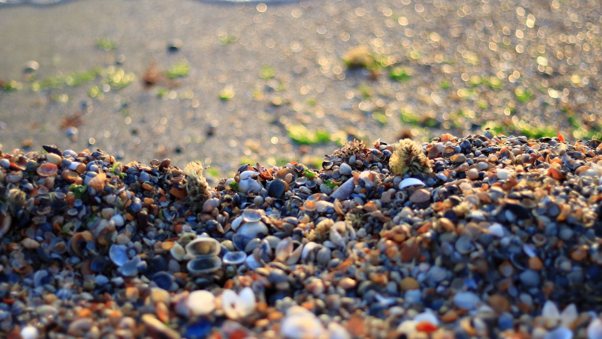 Raport UE: România va pierde turiști din cauza încălzirii globale. Aprilie va deveni noul iulie pentru vacanțe