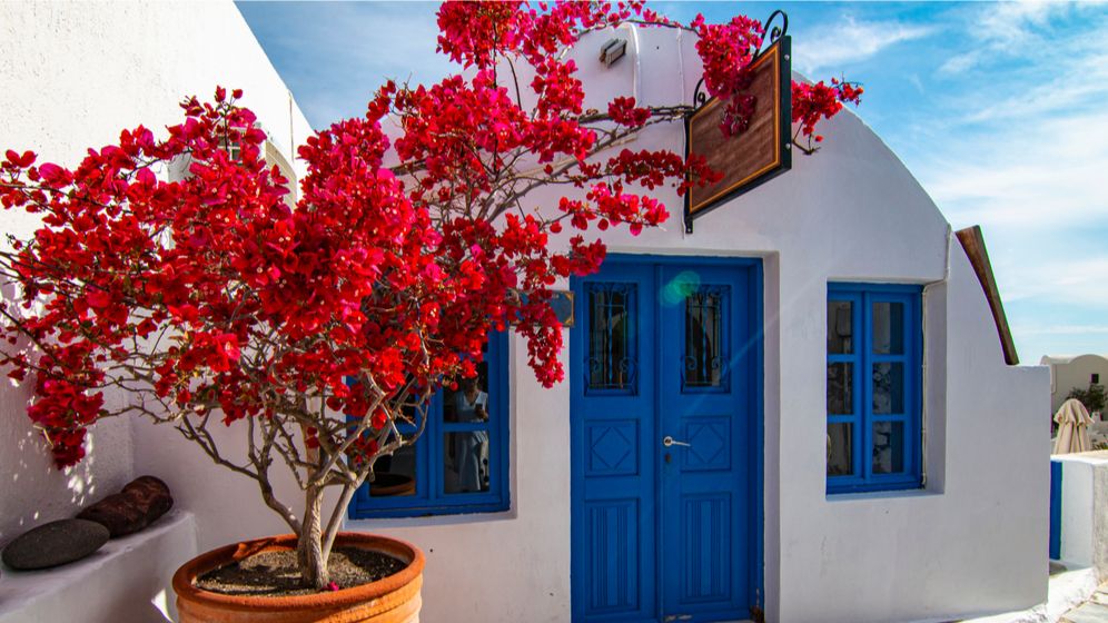 MAE: Alți trei români aflați în Grecia, în vacanță-confirmați cu noul virus