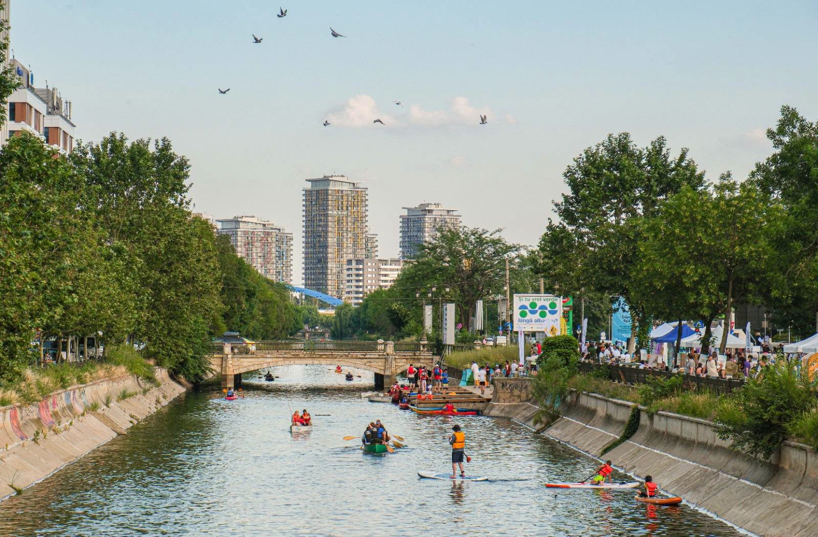 Bucureștenii se pot plimba gratuit cu caiacul pe Dâmbovița. Programul și ambarcațiunile disponibile