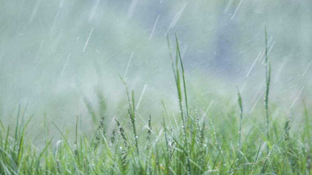 Fenomenele meteo extreme au devastat agricultura. Grindina, furtunile și ploile torențiale au generat fiecare peste 1.000 de notificări de daună