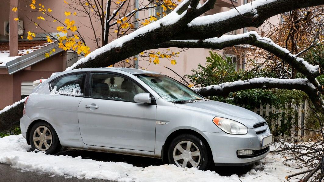 Copaci căzuţi şi autoturisme avariate în Bucureşti și Giurgiu din cauza vremii nefavorabile