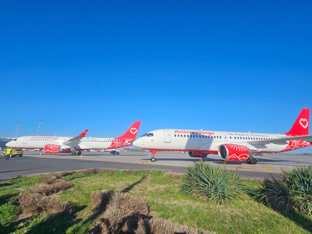 GALERIE FOTO | Cum arată noile avioane Airbus ale AnimaWings - Imagine 10