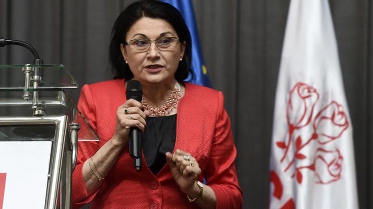 Ecaterina Andronescu, catre Liviu Pop: Ma simt jignita de dumneavoastra cu apelativul "sorosista"