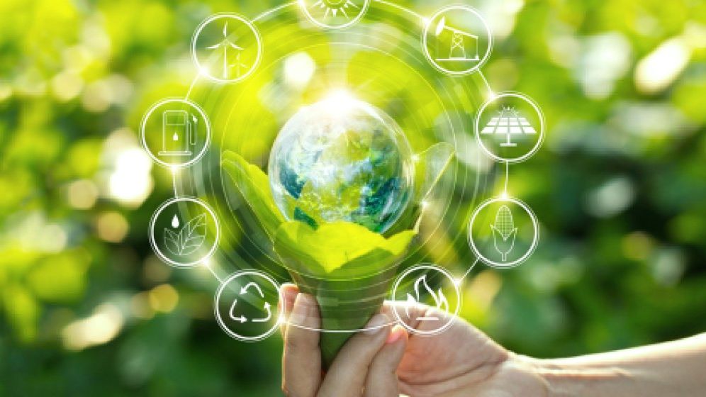 Economia circulară poate diminua cu aproape o treime consumul de resurse și materii prime la nivel global
