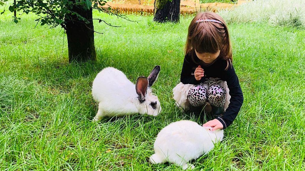 Vacanța de vară în natură: Cât costă să îți duci copilul în summer camp la grădinița din mijlocul pădurii