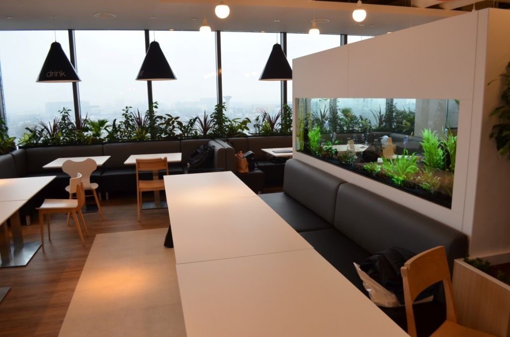 Sediu Orange Skanska - Imagine 40