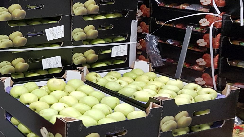 Vrei sa stii ce mananci? Afla de unde provin fructele si legumele din Lidl