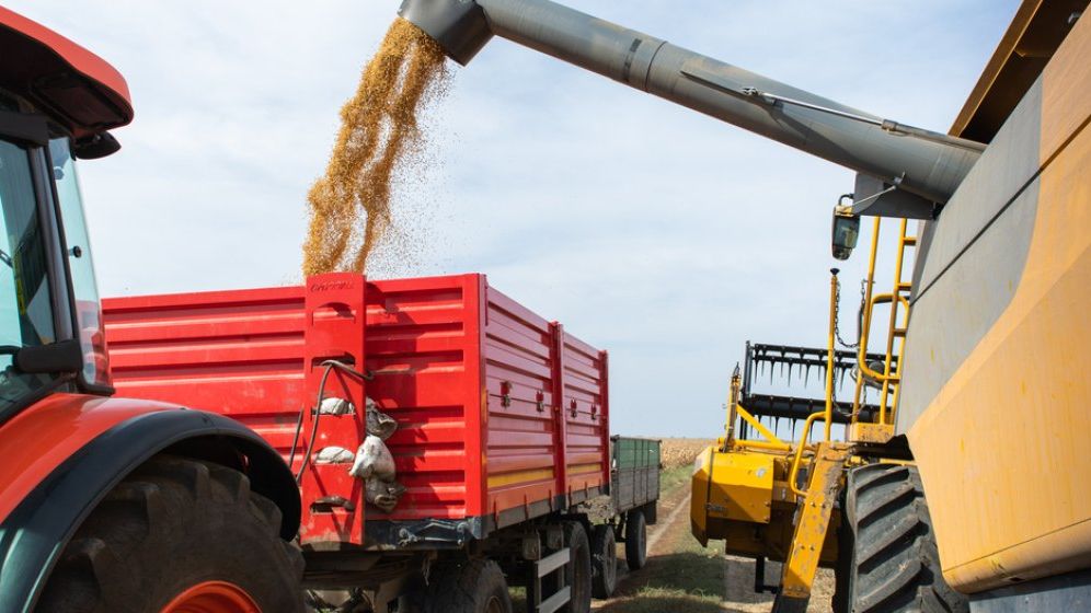 Miniștrii agriculturii din CEE au cerut stabilizarea situației importului de cereale